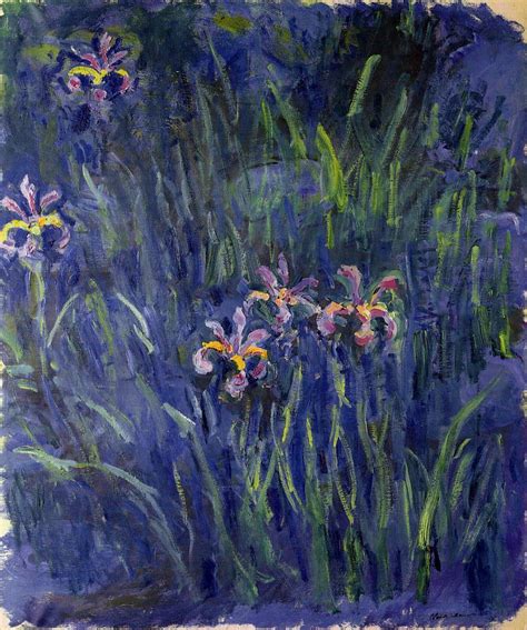 monet irises at givenchy|claude monet irises.